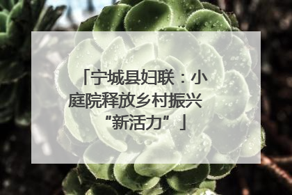 宁城县妇联：小庭院释放乡村振兴“新活力”