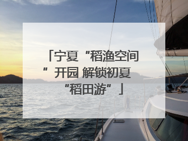 宁夏“稻渔空间”开园 解锁初夏“稻田游”