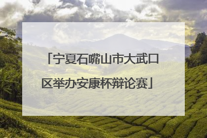 宁夏石嘴山市大武口区举办安康杯辩论赛