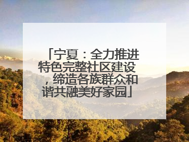 宁夏：全力推进特色完整社区建设，缔造各族群众和谐共融美好家园
