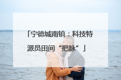 宁德城南镇：科技特派员田间“把脉”