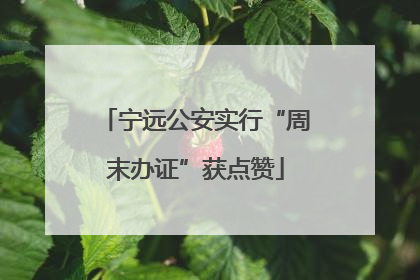 宁远公安实行“周末办证”获点赞