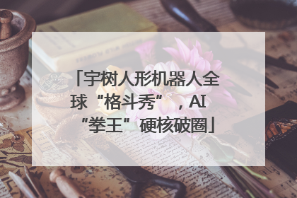宇树人形机器人全球“格斗秀”，AI“拳王”硬核破圈
