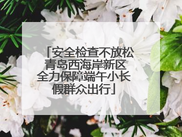 安全检查不放松 青岛西海岸新区全力保障端午小长假群众出行