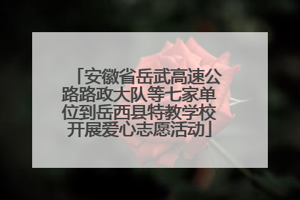 安徽省岳武高速公路路政大队等七家单位到岳西县特教学校开展爱心志愿活动