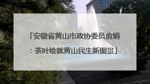 安徽省黄山市政协委员俞娟：茶叶绘就黄山民生新图景