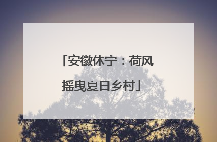 安徽休宁：荷风摇曳夏日乡村