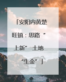安阳内黄楚旺镇：思路“上新” 土地“生金”