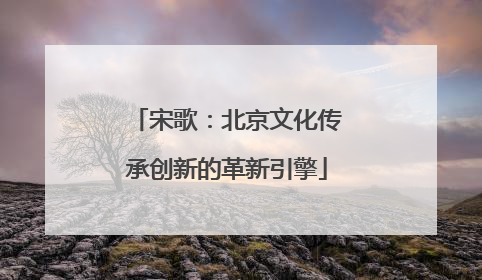 宋歌：北京文化传承创新的革新引擎