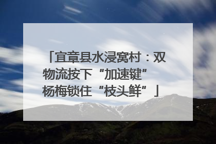 宜章县水浸窝村：双物流按下“加速键” 杨梅锁住“枝头鲜”