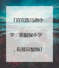 宜宾洗马池小学：童眼探小学，衔接没烦恼