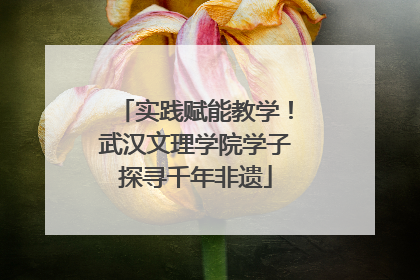 实践赋能教学！武汉文理学院学子探寻千年非遗