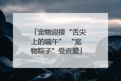 宠物迎接“舌尖上的端午” “宠物粽子”受喜爱