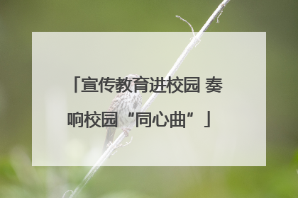 宣传教育进校园 奏响校园“同心曲”