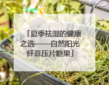 夏季祛湿的健康之选——自然阳光纤薏压片糖果