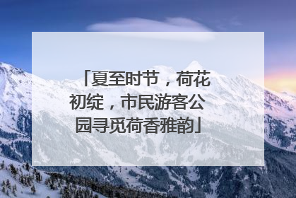 夏至时节，荷花初绽，市民游客公园寻觅荷香雅韵