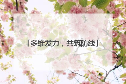 多维发力，共筑防线