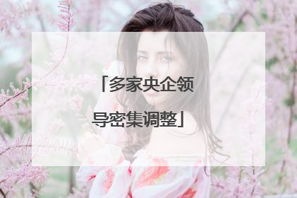 多家央企领导密集调整