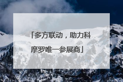 多方联动，助力科摩罗唯一参展商