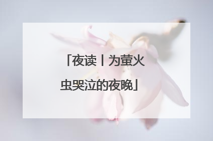 夜读丨为萤火虫哭泣的夜晚