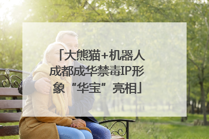 大熊猫+机器人 成都成华禁毒IP形象“华宝”亮相