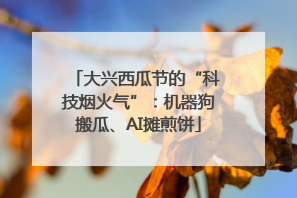 大兴西瓜节的“科技烟火气”：机器狗搬瓜、AI摊煎饼