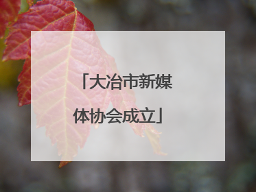大冶市新媒体协会成立