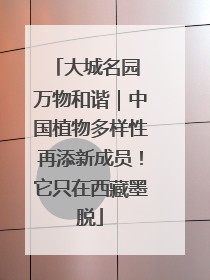 大城名园 万物和谐｜中国植物多样性再添新成员！它只在西藏墨脱