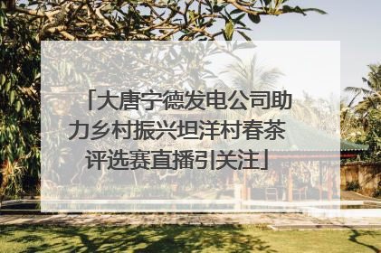 大唐宁德发电公司助力乡村振兴坦洋村春茶评选赛直播引关注