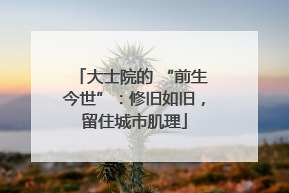 大士院的 “前生今世”：修旧如旧，留住城市肌理