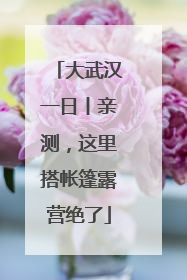 大武汉一日丨亲测，这里搭帐篷露营绝了