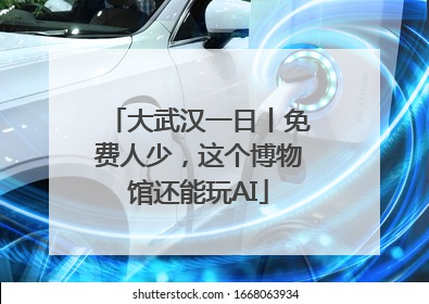 大武汉一日丨免费人少，这个博物馆还能玩AI