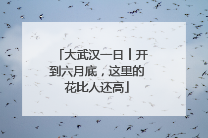 大武汉一日︱开到六月底，这里的花比人还高