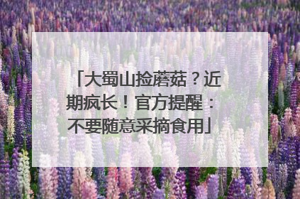 大蜀山捡蘑菇？近期疯长！官方提醒：不要随意采摘食用