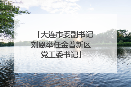大连市委副书记刘恩举任金普新区党工委书记