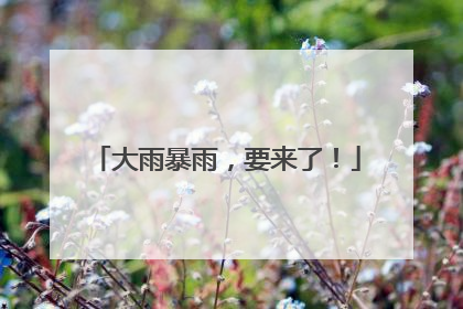 大雨暴雨，要来了！