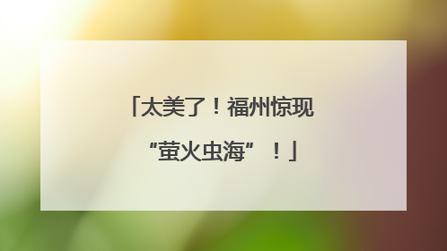 太美了！福州惊现“萤火虫海”！