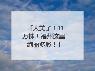 太美了！11万株！福州这里绚丽多彩！