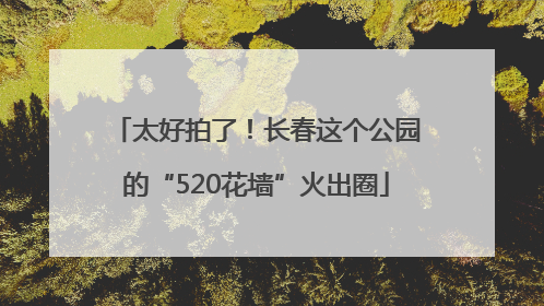 太好拍了！长春这个公园的“520花墙”火出圈