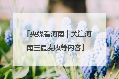央媒看河南｜关注河南三夏麦收等内容