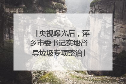 央视曝光后，萍乡市委书记实地督导垃圾专项整治