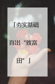 夯实基础育出“致富田”