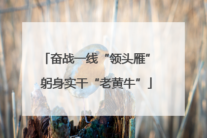 奋战一线“领头雁” 躬身实干“老黄牛”