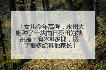 女儿今年高考，永州大姐种了一块向日葵田为她祝福：有200多棵，送了很多给其他家长