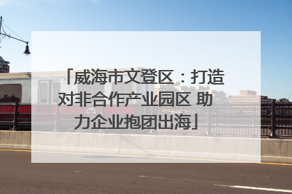威海市文登区：打造对非合作产业园区 助力企业抱团出海