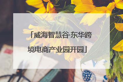 威海智慧谷·东华跨境电商产业园开园