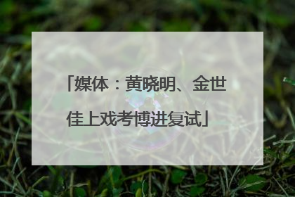 媒体：黄晓明、金世佳上戏考博进复试
