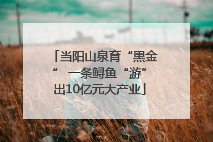 当阳山泉育“黑金” 一条鲟鱼“游”出10亿元大产业