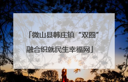 微山县韩庄镇“双圈”融合织就民生幸福网
