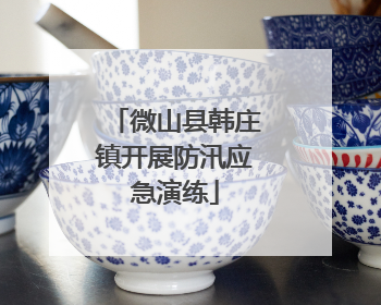 微山县韩庄镇开展防汛应急演练